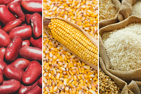 Treadstone Inspection Agricultural Commodities