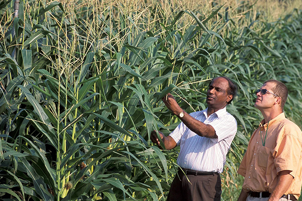 Treadstone Inspection Crop Science